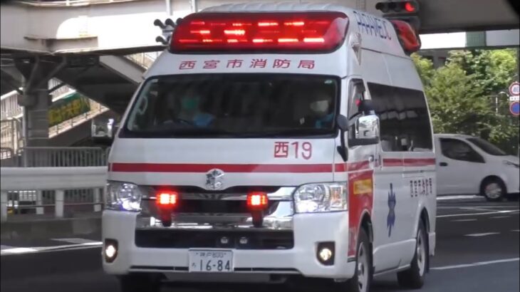 🚨交差点を緊急走行🚨響き渡るサイレン🚨救急車🚨緊急走行🚨西宮市消防局🚨赤色灯🚨サイレン🚨