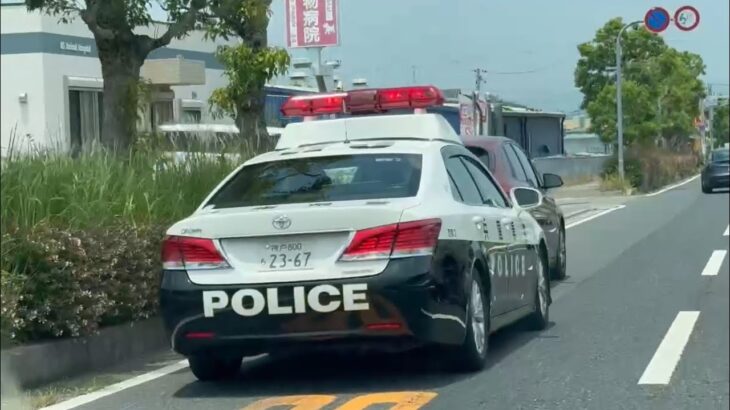 🚨違反車を捕まえたパトカー🚨信号無視🚨兵庫県警🚨パトカー🚨赤色灯🚨
