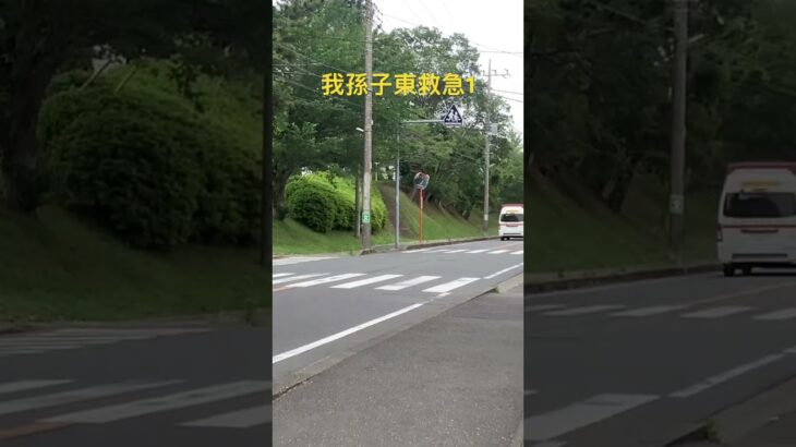 #救急車 #緊急走行 #消防署 #緊急車両