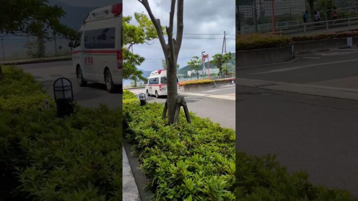 舞消救急🚑️救急出場#緊急走行 #舞鶴消防 #救急車