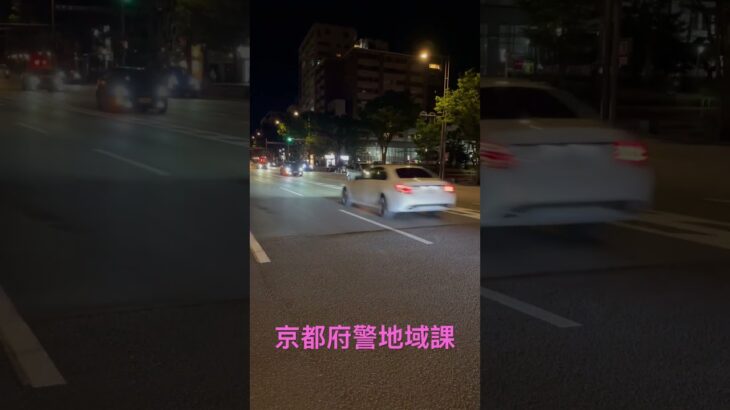 【緊急走行】京都府警地域課　パトカー　御池通り緊急走行#緊急走行 #パトカー #京都市内 #京都府警