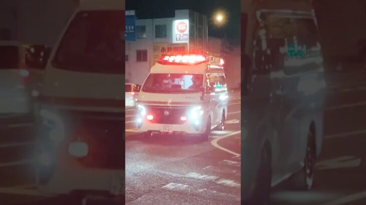 薩摩川内市消防局 中央消防署南部分署 南部救急 #救急車