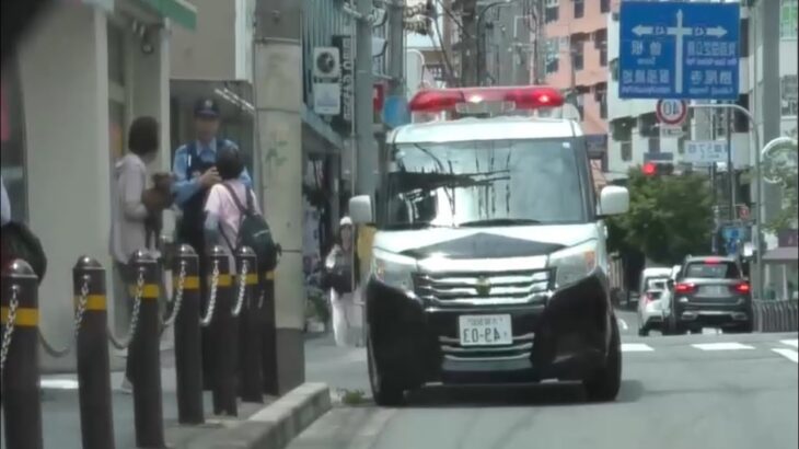 🚨対応する警察官🚨大阪府警🚨パトカー🚨赤色灯🚨