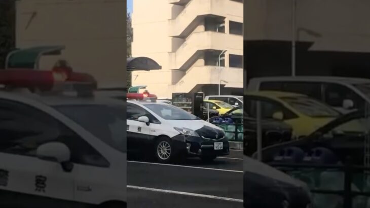 【視聴者様提供】レア？！宮城県警のプリウスパトカーの緊急走行❗️