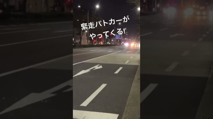 夜の京都を爆走！パトカー🚔🚓🚔🚓#警察 #110 #パトカー #緊急走行 #京都