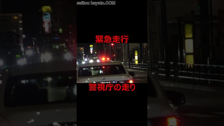【緊急走行】警視庁220系クラウンパトカーと埼玉県警220系クラウンパトカーのマイクアナウンスと走り!!