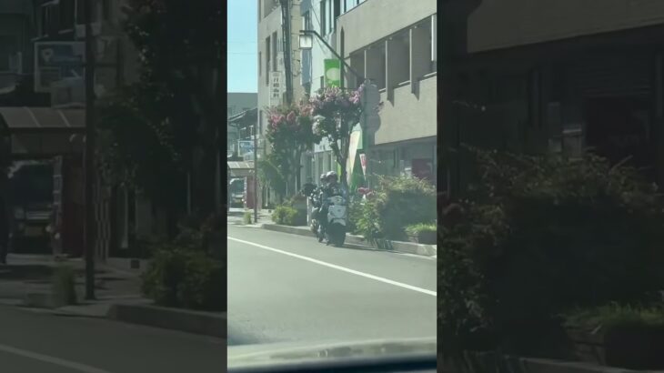 交通違反を監視する女性警察官🥹警察官2名で待機🚨兵庫県警🚨警察バイク🚨警察官🚨　#shorts