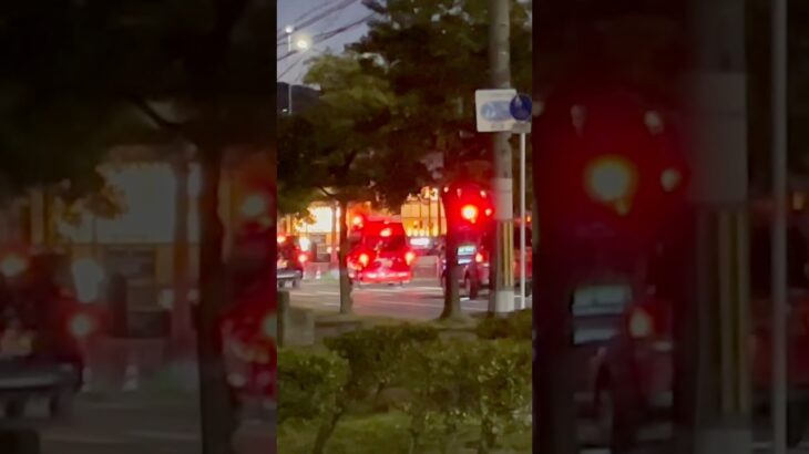 【緊急走行】中第2指揮隊、中指揮が隊列を組み緊急走行！【堺市消防局】#shorts #short #ショート #消防署 #消防車 #fire #firefighter #サイレン #siren