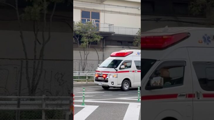 #糸島市消防本部 #救急車 今日の夜7:00から公開！糸島消防初のTCDサイレン！糸島市消防署前原出張所 救急5 緊急走行