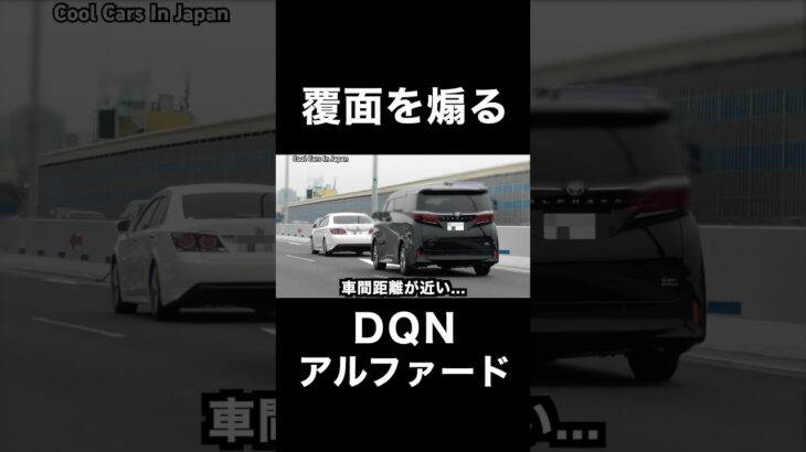 覆面パトカーを『煽る』DQNアルファード⁉️ #shorts