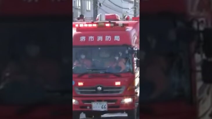【緊急走行】本部特別高度救助隊、本部HAZ-MAT出場せよ！【堺市消防局】#shorts #short #ショート #消防署 #消防車 #fire #firefighter #サイレン #siren