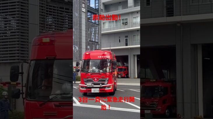 【救助出動】その他救助入電！中原救助、中原指揮、小田中P緊急走行！