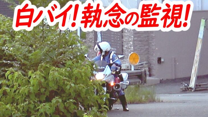 白バイ執念の取り締まり！シエンタのあと、予想もしなかった光景からWRX検挙の瞬間！【白バイによるスピード違反取り締まり２連発！】