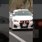 真後ろの覆面パトカーに気付かず…🚨 #shorts