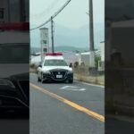 🚨兵庫県警🚨パトカー🚨パトロール🚨　#shorts