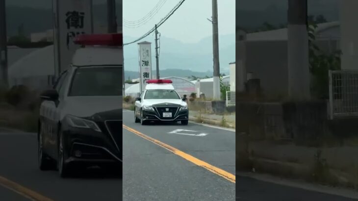 🚨兵庫県警🚨パトカー🚨パトロール🚨　#shorts