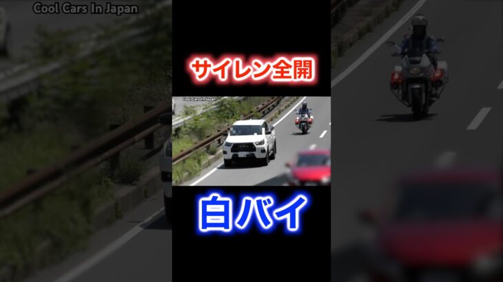 サイレン全開‼️ 白バイに全く気付かない違反者…😱🚨　#shorts
