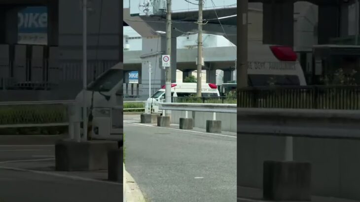 🚨響き渡るサイレン🚨大阪市消防局🚨救急車🚨緊急走行🚨赤色灯🚨サイレン🚨　#shorts
