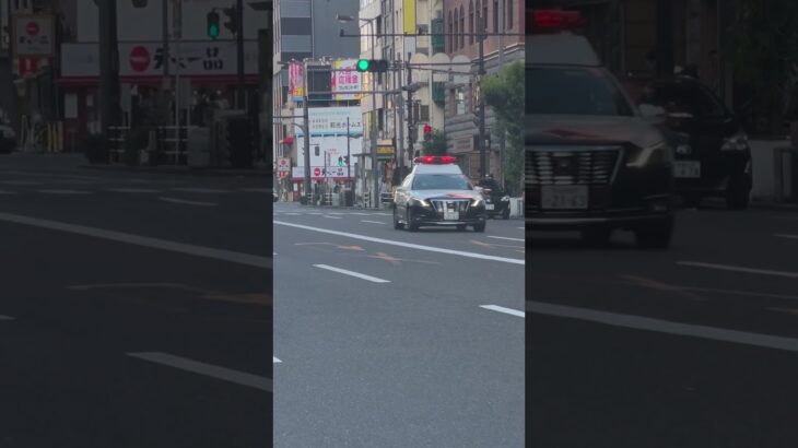 パトカー緊急走行ちゃうの😆#パトカー #shorts