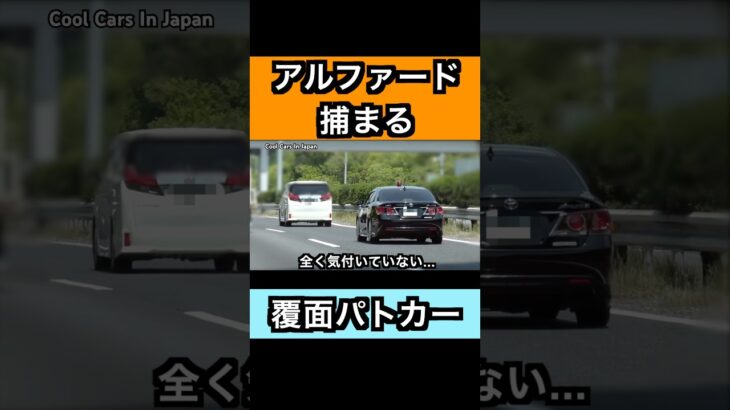 速度違反のアルファードが覆面パトカーに捕まる‼️ #shorts