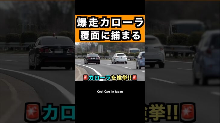 爆走カローラが覆面パトカーに捕まる‼️ #shorts