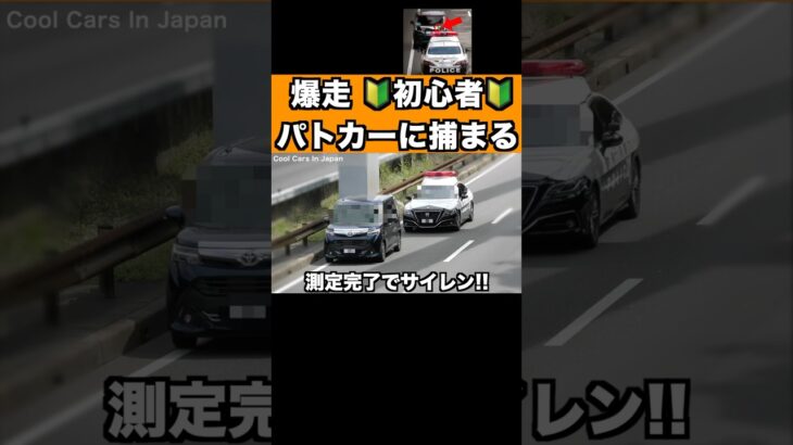 爆走する初心者がパトカーに捕まる‼️ サイレン‼️ #shorts