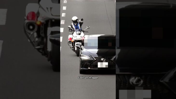 白バイの捕まえる瞬間がカッコ良すぎる‼️ #shorts