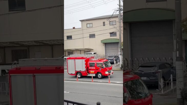 【緊急走行】大阪狭山ポンプ、緊急走行！【堺市消防局】#shorts #short #ショート #消防署 #消防車 #fire #firefighter #サイレン #siren
