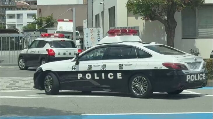 🚨レアな瞬間🚨大量のパトカー🚨兵庫県警🚨パトカー🚨