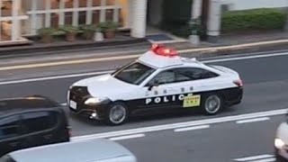 パトカー　緊急走行