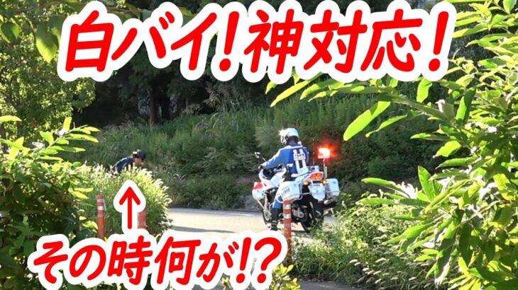 【神対応！】一時停止監視中の白バイが即座に反応！取り締まりよりも優先したものとは！【白バイによる一時停止取り締まり】