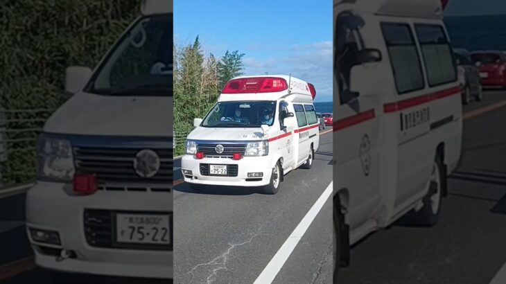 【緊急走行】鹿児島市消防局谷山救急隊（代車運用中）