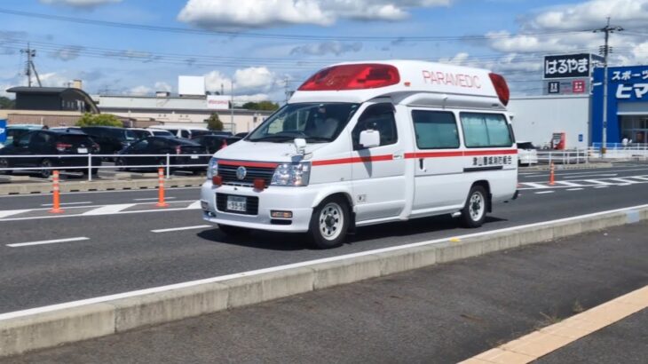 絶滅も近いエルグランドの緊急走行！