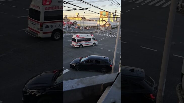 #救急車 緊急走行