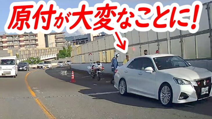 原付ライダーの身に何が！？覆面パトカーの応援要請に白バイが緊急走行で臨場！ 【覆面パトカーによる取り締まり】