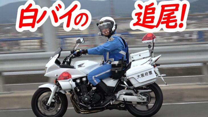 白バイ！穏やかなスピード違反取り締まり！先頭車両ロックオンの結果は…