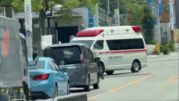 🚨病院に入る救急車🚨緊急走行🚨響き渡るサイレン🚨救急車🚨箕面市消防本部🚨赤色灯🚨
