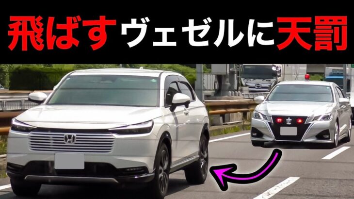 飛ばすヴェゼルに天罰‼️ 覆面パトカーが捕まえる瞬間‼️　[サイレン 警察 取り締まり]