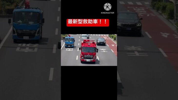 【最新型の救助車！！】新型フォワードになってから初めて導入された車両！！モーターサイレンを吹鳴し国道を走っていく！！#東京消防庁 #消防車 #緊急走行