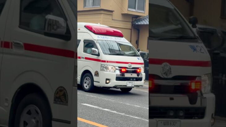 救急車緊急走行🚨