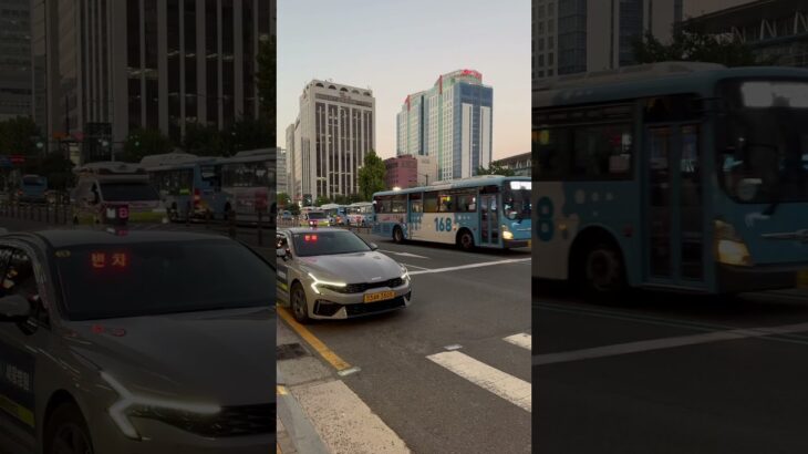 韓国の救急車緊急走行🚨#緊急車両 #緊急走行 #救急車 #119 #韓国 #korea #ambulance #구급차 #출동