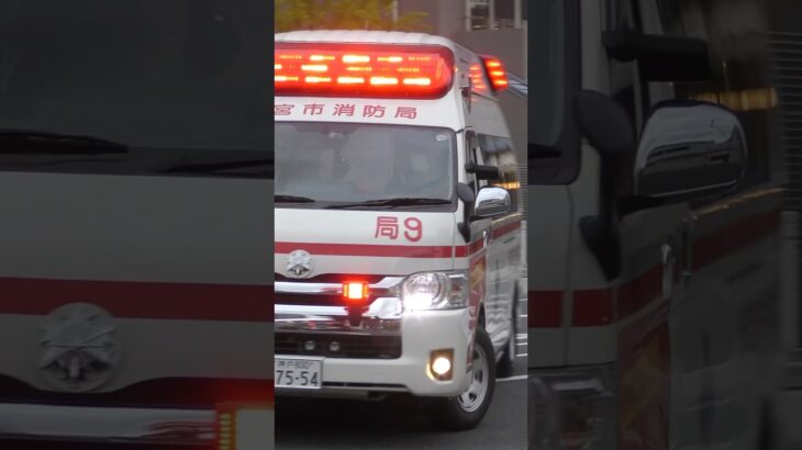 【西宮#1】本部日勤救急隊、局9緊急走行！【西宮市消防局】#shorts #short #ショート #消防署 #消防車 #fire #firefighter #サイレン
