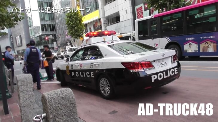 「ループ停まって～」パトカーがスクランブル交差点を緊急走行！追われたのは2台の電動キックボード…検挙しました。