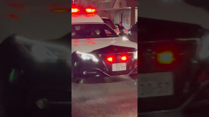 220系パトカー緊急走行🚨