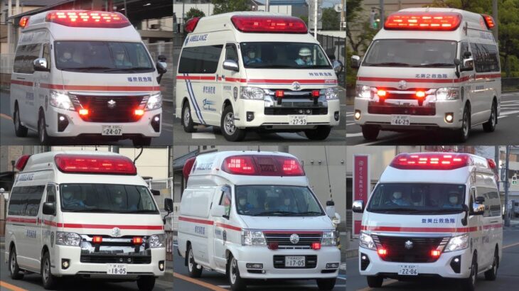 【完全版】堺市消防局 全救急隊、緊急走行&出動の瞬間37連発！堺消防全37救急、緊急走行集！！！令和6年度版【堺市消防局】《AMBULANCE RESPONSE》