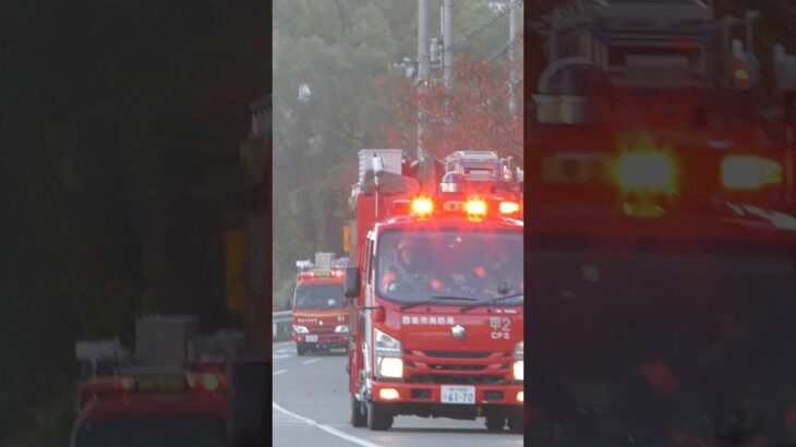 【緊急走行】4台が隊列を組み、火災現場へ急行！【西宮市消防局】#救急車 #消防署 #消防車 #サイレン #firefighter #ショート #shorts