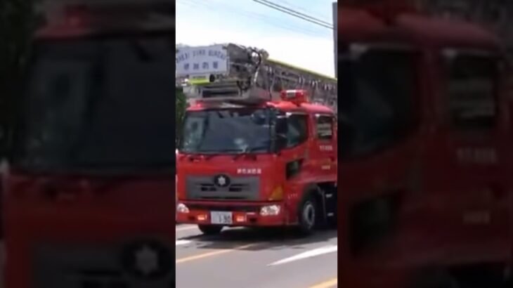 【緊急走行】45mはしご車！堺六連、緊急走行！【堺市消防局】#shorts #short #ショート #消防署 #消防車 #fire #firefighter #サイレン