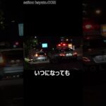 【緊急走行】直進矢印に騙されてるパトカーに捕まり9千円をドブに捨てるプリウスの違反者が間抜けでウケるｗｗｗ