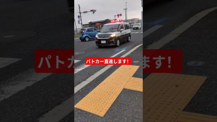 現場に急行！#緊急車両 #パトカー #緊急走行 【CYGNS11】#police #shorts