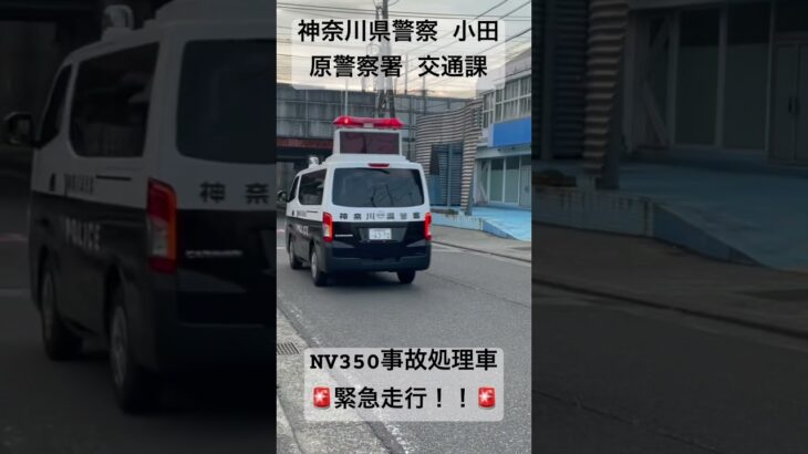 神奈川県警察 小田原警察署 NV350キャラバン 事故処理車 緊急走行‼️ #神奈川県警察 #警察 #パトカー #緊急走行 #事故 #サイレン